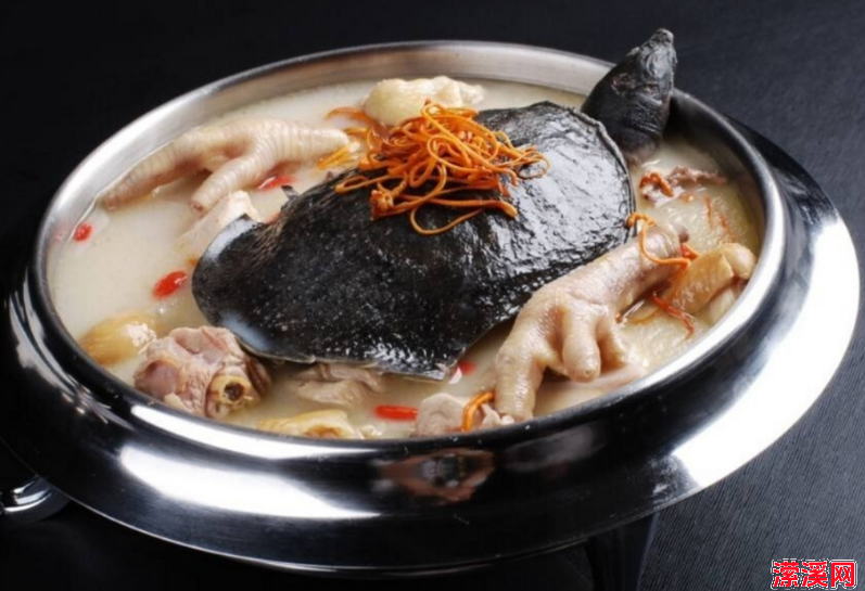 炖甲鱼的正确方法，甲鱼汤怎么炖才鲜美无腥味