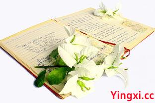 成为白酒市级代理商的秘诀与关键步骤全解析