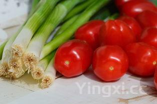 做酸菜鱼的详细步骤和图解,做酸菜鱼的方法 小视频