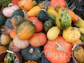 蛋黄焗南瓜的做法步骤,蛋黄焗南瓜的做法大全