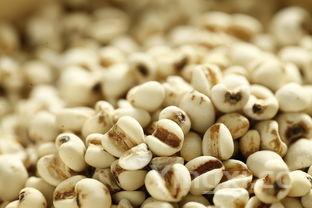 薏苡仁和薏米一样吗，薏米怎么吃去湿气