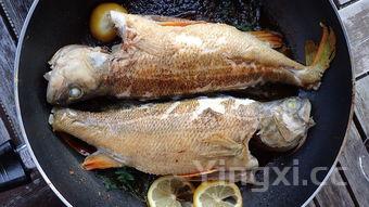 怎么蒸鸡蛋羹又滑又嫩,蒸鸡蛋羹是冷水上锅还是热水上锅