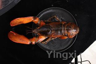 双皮奶为啥叫双皮奶,双皮奶为什么叫双皮奶