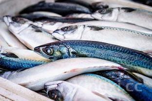 鲶鱼怎么做好吃,鲶鱼怎么做好吃又不腥家常做法