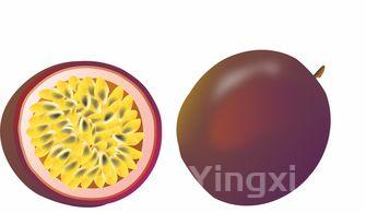 平菇的功效与作用,平菇的功效与作用禁忌