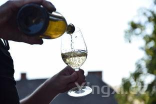 葡萄酒自酿方法,葡萄酒自酿方法视频