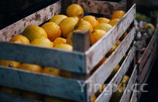 熏鱼怎样做好吃又简单，熏鱼怎样做好吃又简单视频