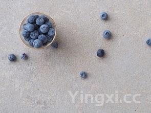 女人吃泥鳅有什么好处和坏处,女人吃泥鳅的功效