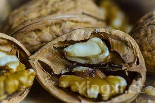 羊肉饺子馅儿怎么调最好吃窍门,羊肉饺子馅儿怎么调最好吃