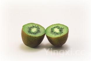 马齿苋的八种吃法，马齿苋的八种吃法大全