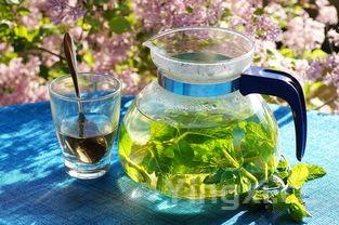 白蒲白酒是什么颜色?探寻那一抹独特酒液之色