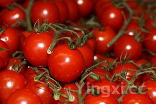 番茄炒鸡蛋怎么炒才好吃,番茄炒鸡蛋怎么炒