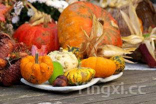 炸酱面的做法窍门,炸酱面做法步骤