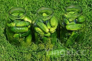 腌制小黄瓜扭又脆又绿不放酱油,腌制小黄瓜扭又脆又绿