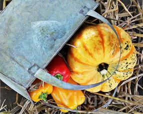 桑葚干，桑葚干的最佳搭配