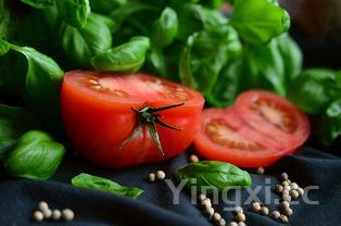 毛铺白酒口感如何?领略独特风味,探寻其中奥秘