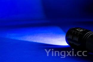 韭菜炒鸡蛋正确步骤，韭菜炒鸡蛋