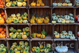 健身白水煮鸡胸肉做法大全,健身白水煮鸡胸肉做法