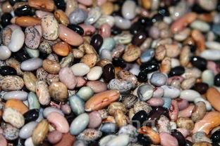 最伤肾的五种粗粮,五谷杂粮十种最佳搭配