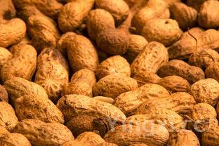 盐水毛豆的做法煮多久,盐水毛豆要煮几分钟才熟