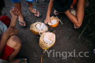 腊肉粽子的做法步骤(腊肉粽子馅的最佳做法视频)