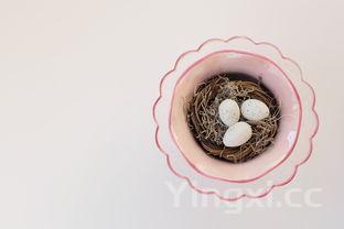 怀孕初期燕窝多久吃一次,怀孕几个月吃燕窝最好