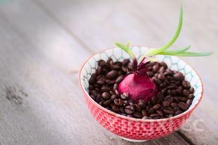 卤水豆腐制作方法详解,卤水豆腐的制作方法