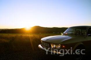 家庭卤菜可以卤什么,家庭版卤菜