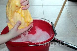 蛏子怎么清洗干净,蛏子怎么清洗干净图解