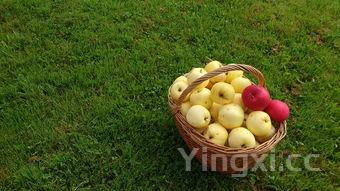 小炒菜谱大全家常菜做法,小炒菜谱图