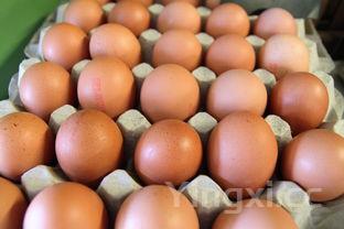 卡通馒头的做法大全,教你六款卡通馒头的做法