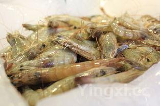 家常炒豆芽时,焯水就错了,牢记1个小妙招