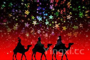 油炸蚕蛹的家常做法,蚕蛹的家常做法