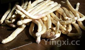 食用生粉是什么,生粉是什么