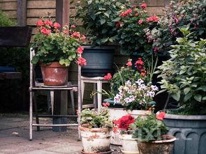 怎么蒸鸡蛋羹又滑又嫩,蒸鸡蛋羹是冷水上锅还是热水上锅