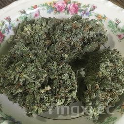 50种简单易学家常菜,懒人10个简易菜