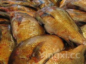 猪头肉卤菜配方,猪头肉卤制及配方