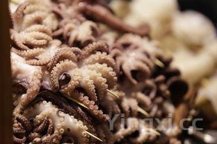 干鱿鱼的做法最简单最好吃,干鱿鱼怎么做法