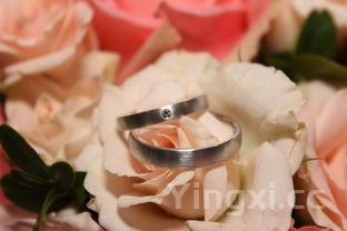 花甲如何清洗才干净视频,花甲如何清洗才干净