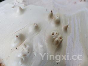 炒凉粉的正宗做法窍门，炒凉粉的正宗做法的