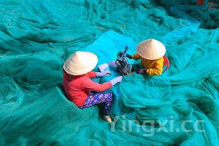 活螃蟹怎么清洗干净,清洗螃蟹的正确方法