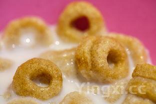 营养早餐搭配食谱,营养早餐