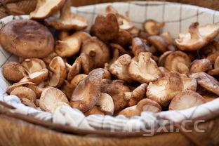 蘑菇炒肉片,香菇蘑菇炒肉片