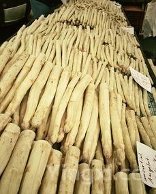 鲜芦笋如何做,鲜芦笋怎么做好吃