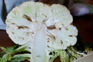 甘蓝菜的做法，肉炒紫甘蓝菜的做法