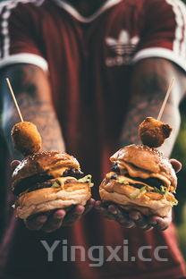 汉堡包制作方法英文,汉堡包制作方法