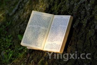 老年无牙菜谱100例,老人软烂菜谱100道