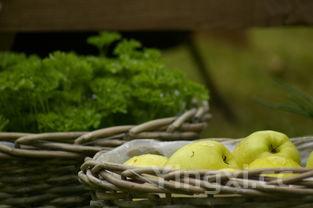 白灼卢笋的做法,白灼芦笋的做法