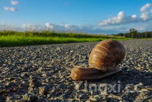 品鉴精酿白酒真假之道:从色泽、香气、口感全方位甄别
