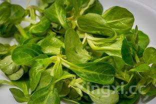 优级白酒排名揭晓，哪些白酒荣登榜单备受瞩目？